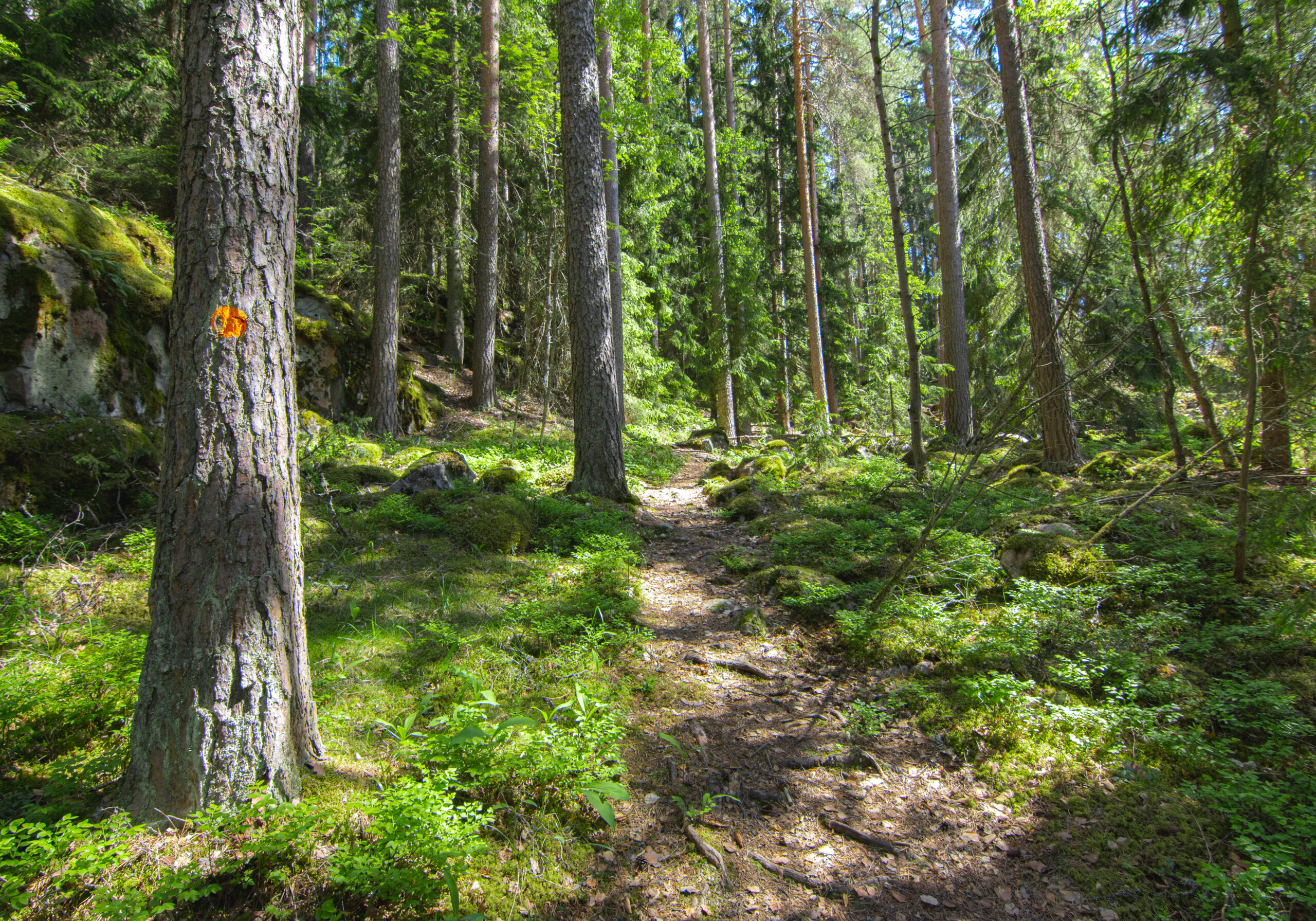 luontopolku